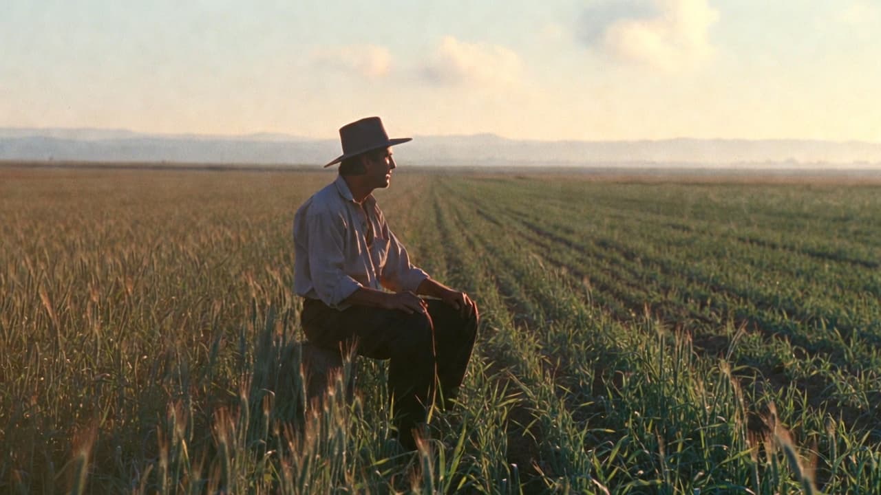 Campo argentino con siembra y logística agrícola